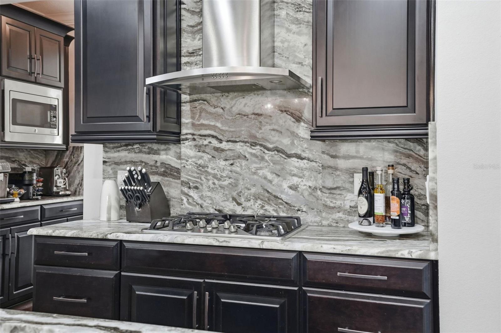 1897 FOX GRAPE LOOP, LUTZ, FL, 33558