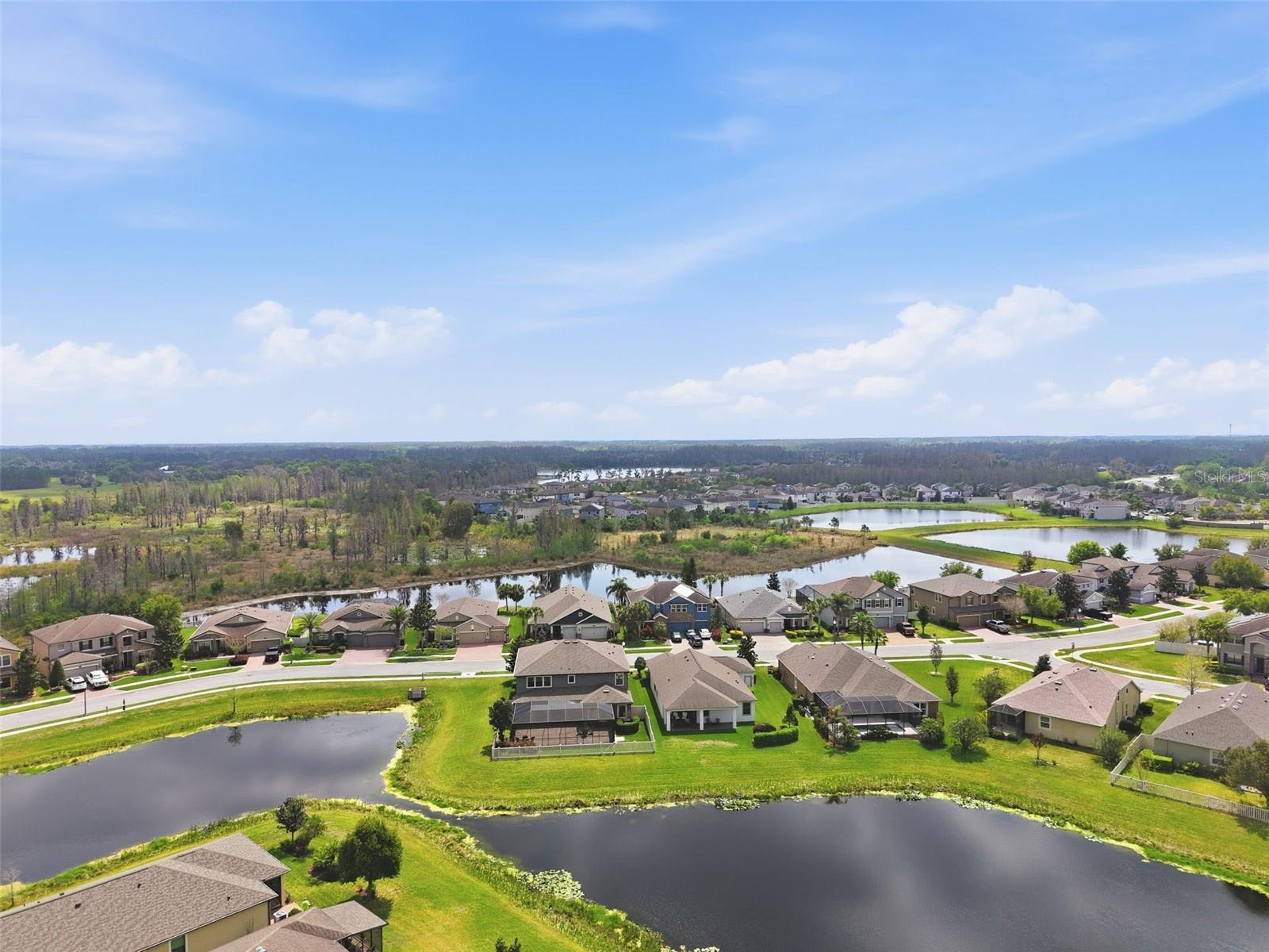 1897 FOX GRAPE LOOP, LUTZ, FL, 33558