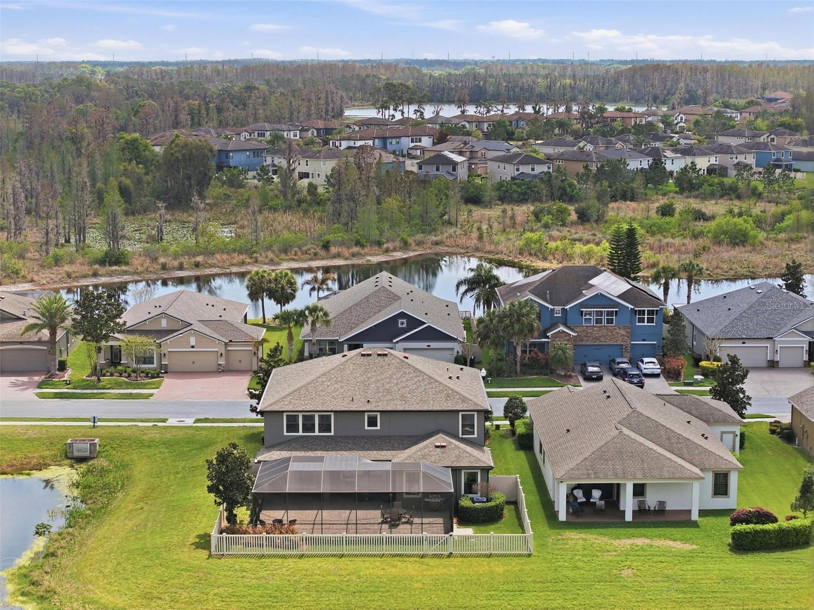 1897 FOX GRAPE LOOP, LUTZ, FL, 33558