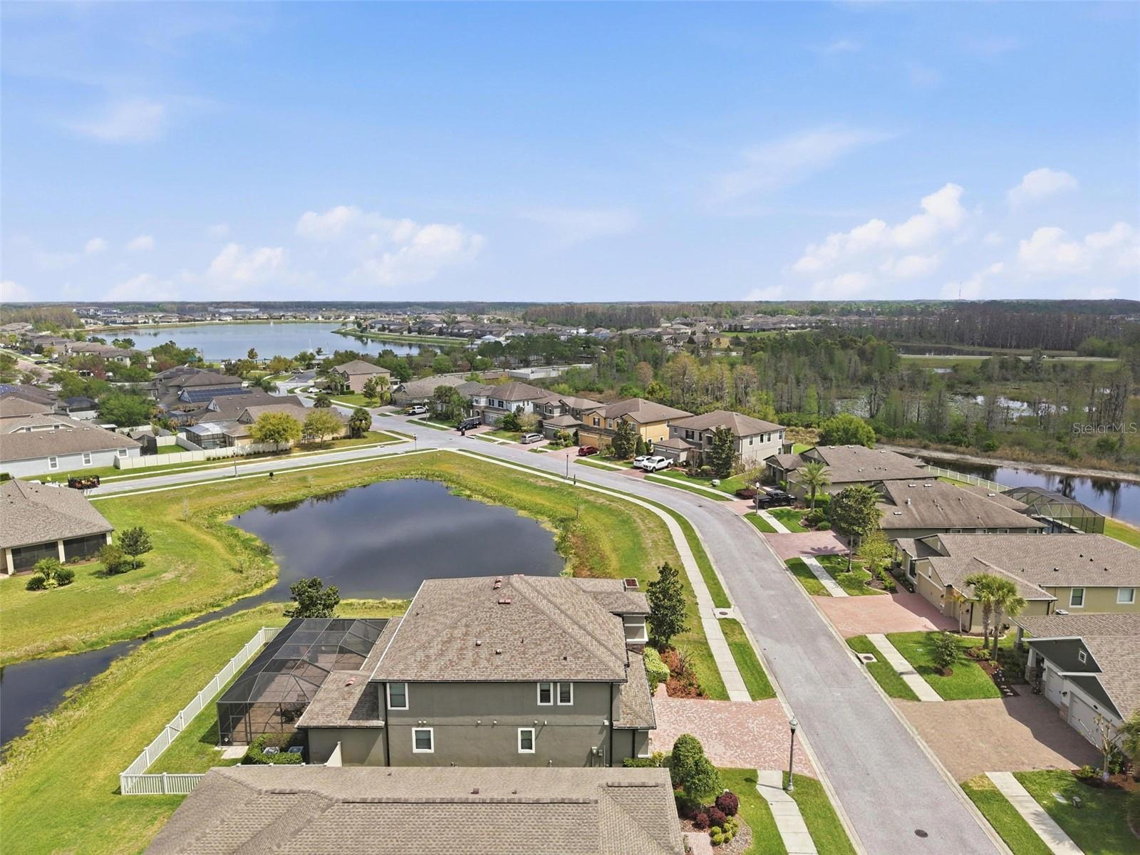 1897 FOX GRAPE LOOP, LUTZ, FL, 33558