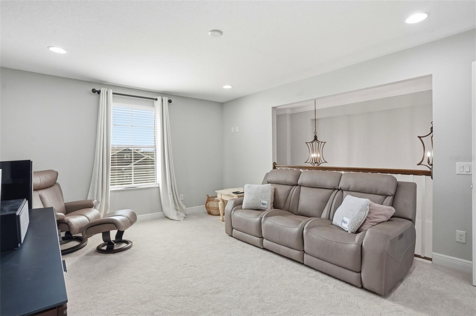 1897 FOX GRAPE LOOP, LUTZ, FL, 33558