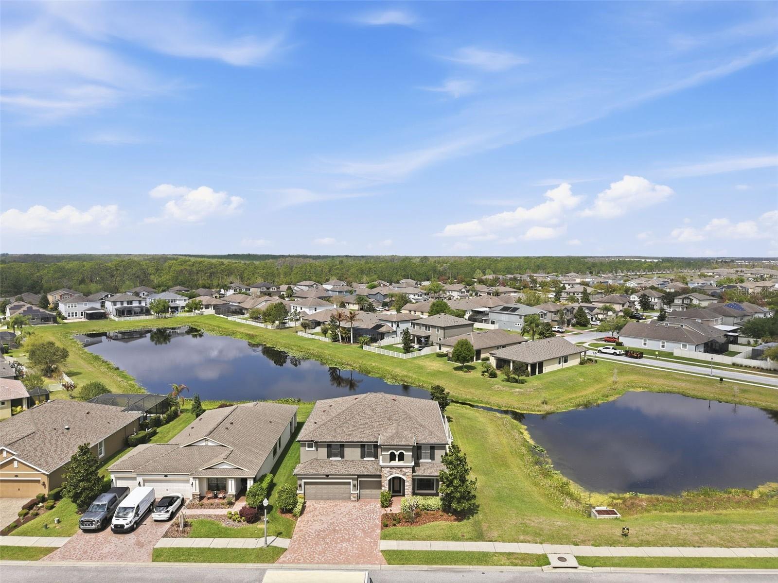 1897 FOX GRAPE LOOP, LUTZ, FL, 33558