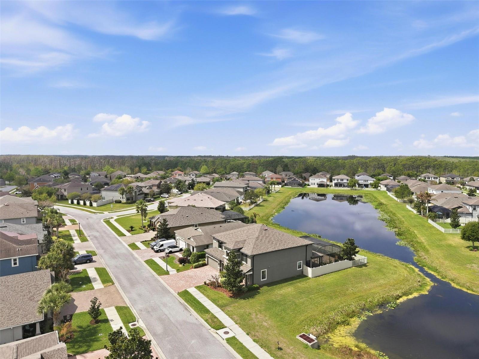 1897 FOX GRAPE LOOP, LUTZ, FL, 33558