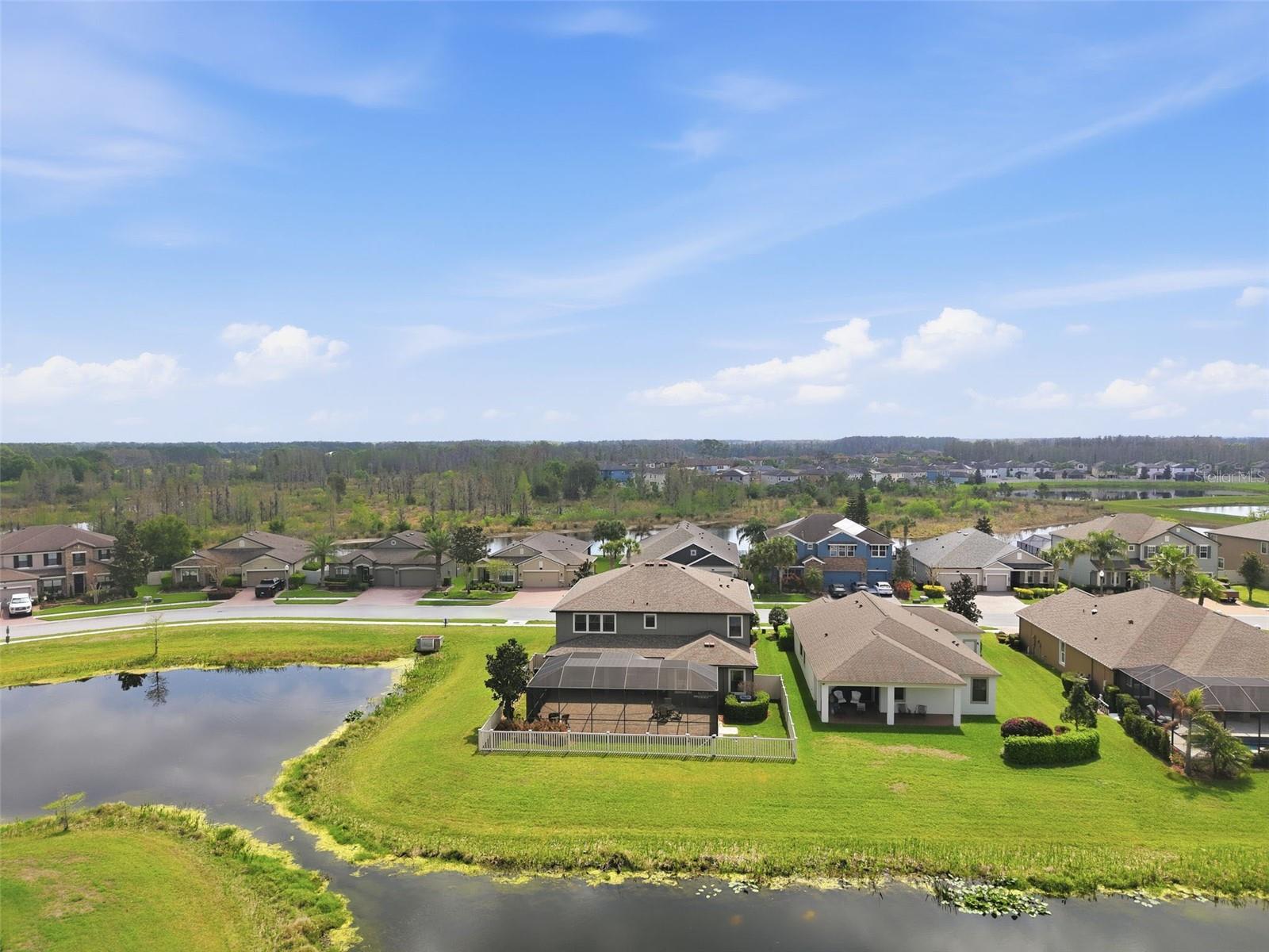 1897 FOX GRAPE LOOP, LUTZ, FL, 33558
