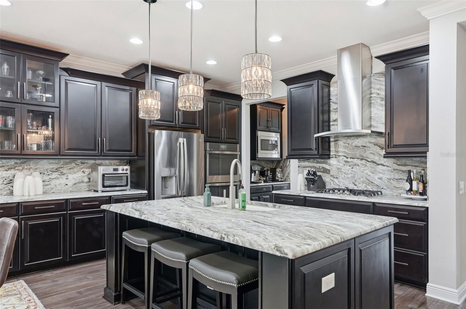 1897 FOX GRAPE LOOP, LUTZ, FL, 33558