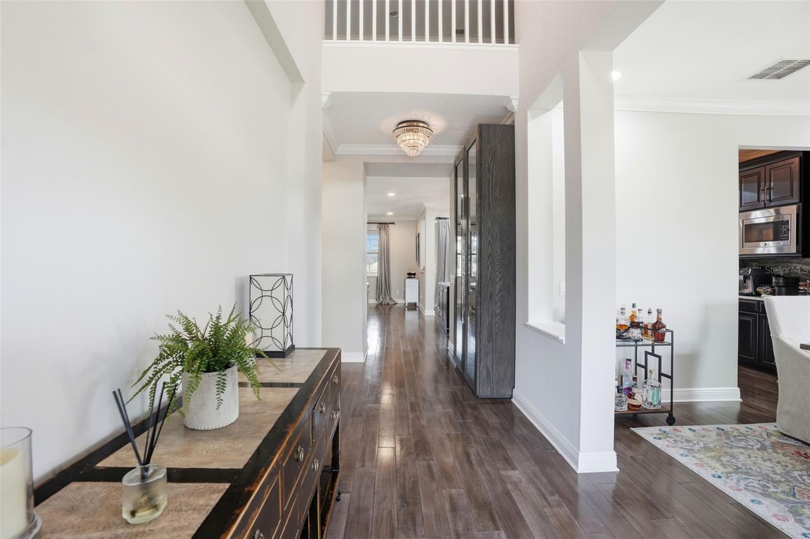 1897 FOX GRAPE LOOP, LUTZ, FL, 33558