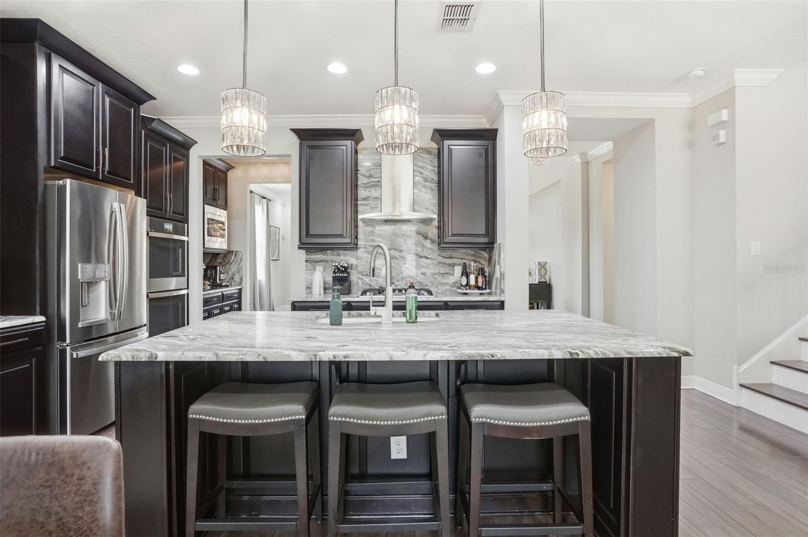 1897 FOX GRAPE LOOP, LUTZ, FL, 33558