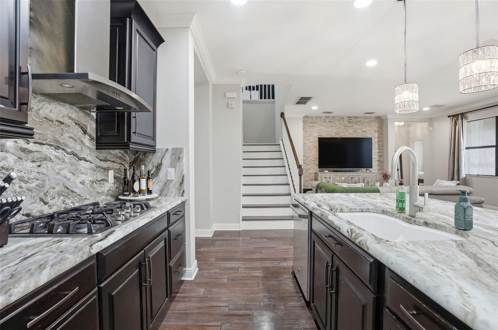 1897 FOX GRAPE LOOP, LUTZ, FL, 33558