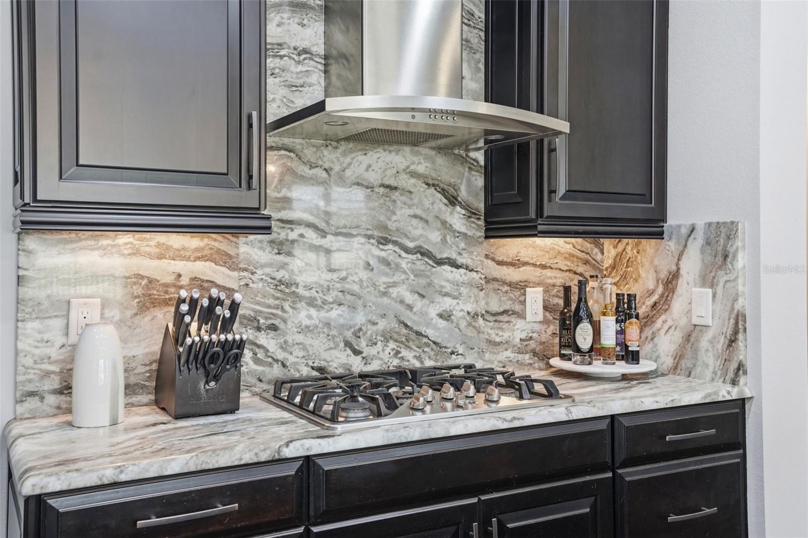 1897 FOX GRAPE LOOP, LUTZ, FL, 33558