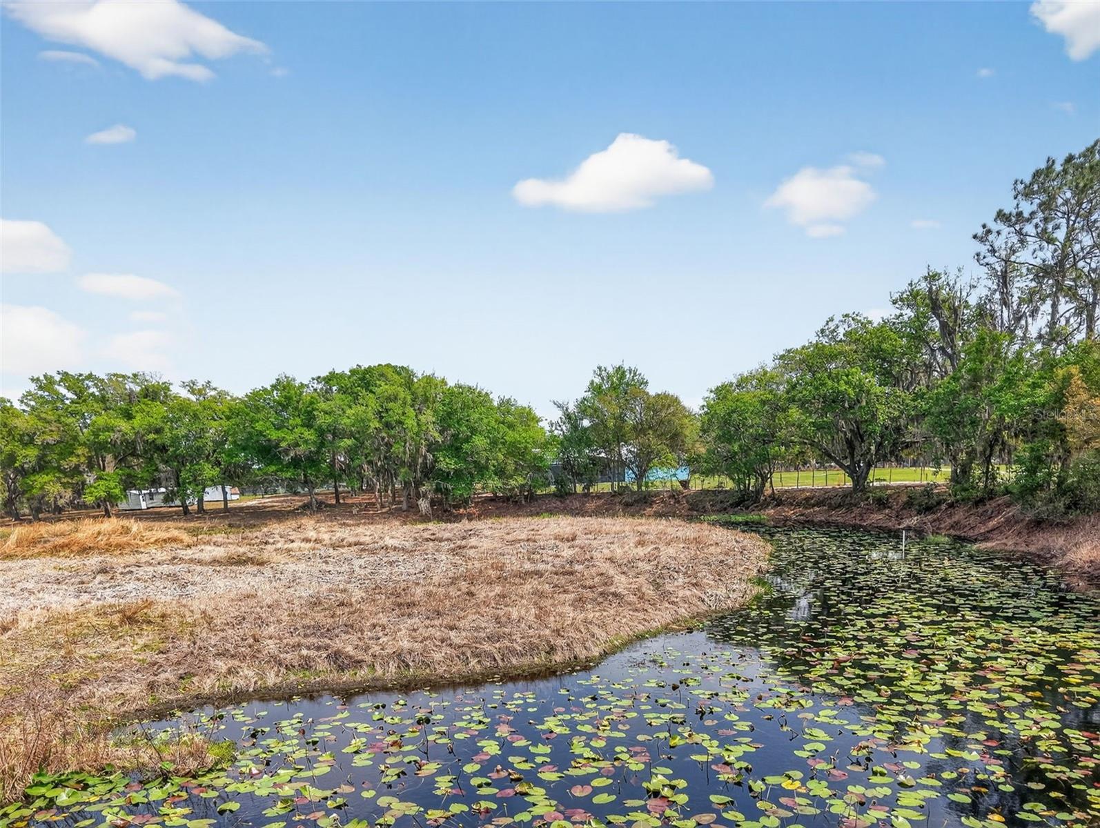 22431 LOOP RD, GROVELAND, FL, 34736