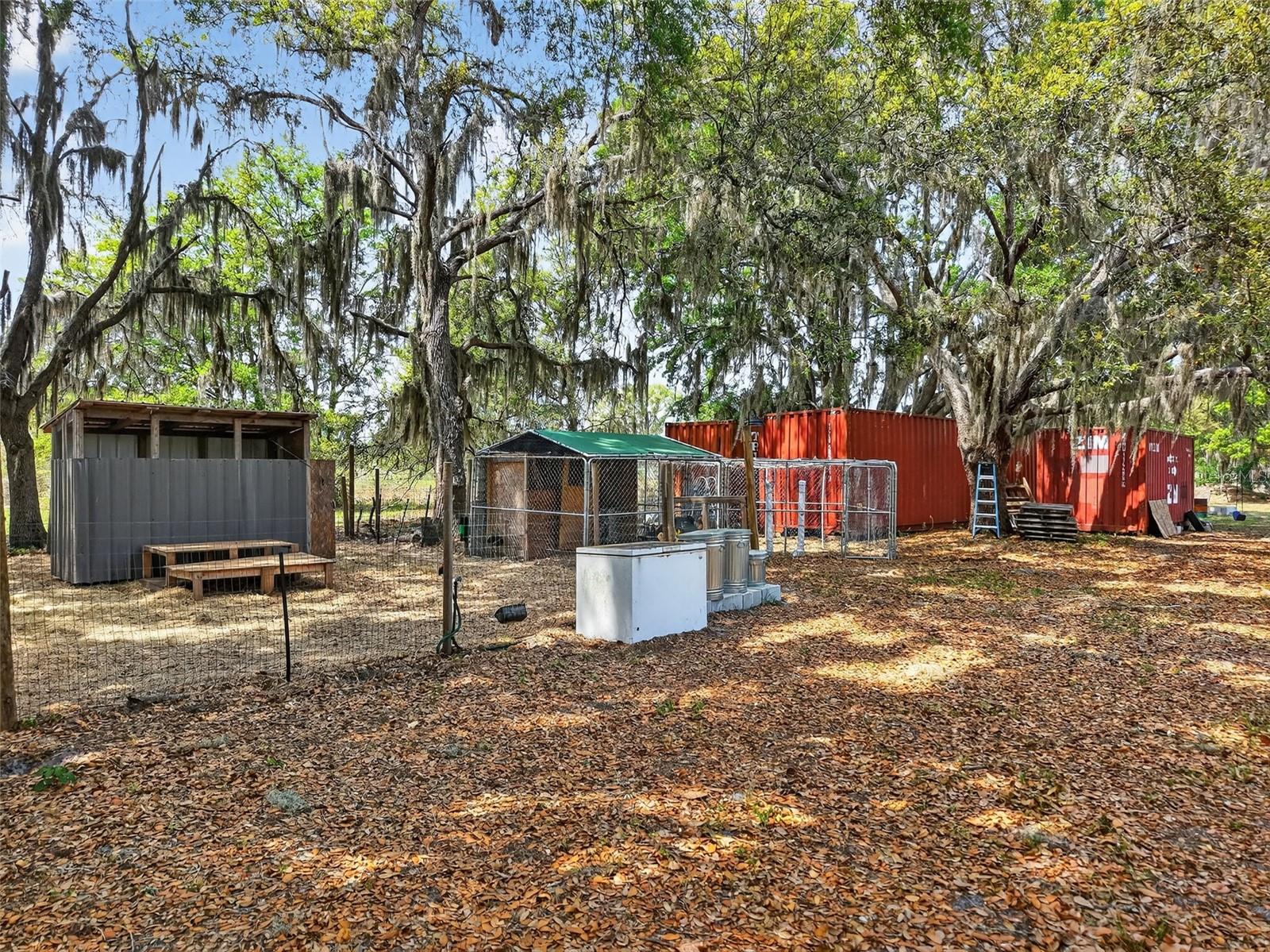 22431 LOOP RD, GROVELAND, FL, 34736