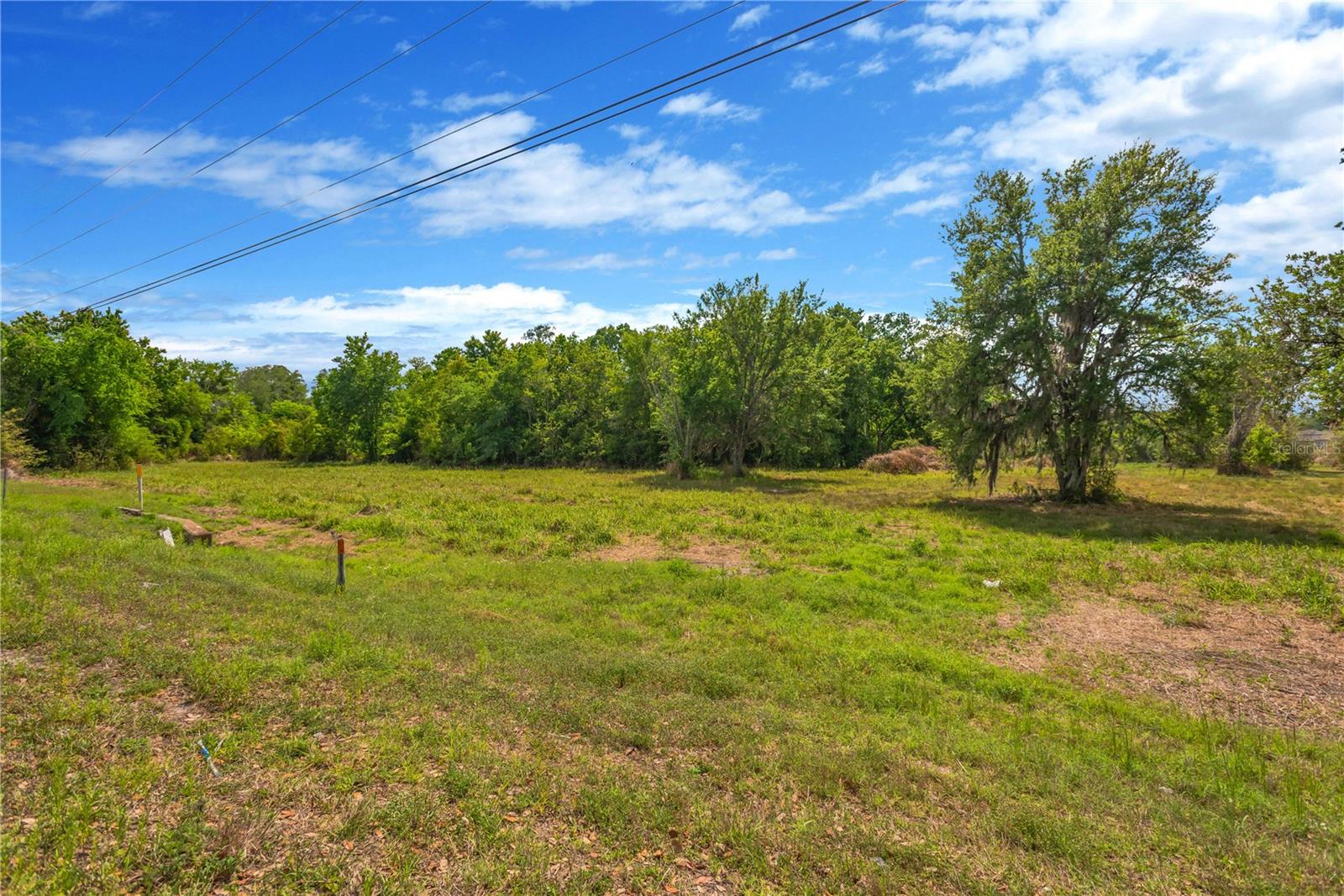PAUL S BUCHMAN HWY, ZEPHYRHILLS, FL, 33540