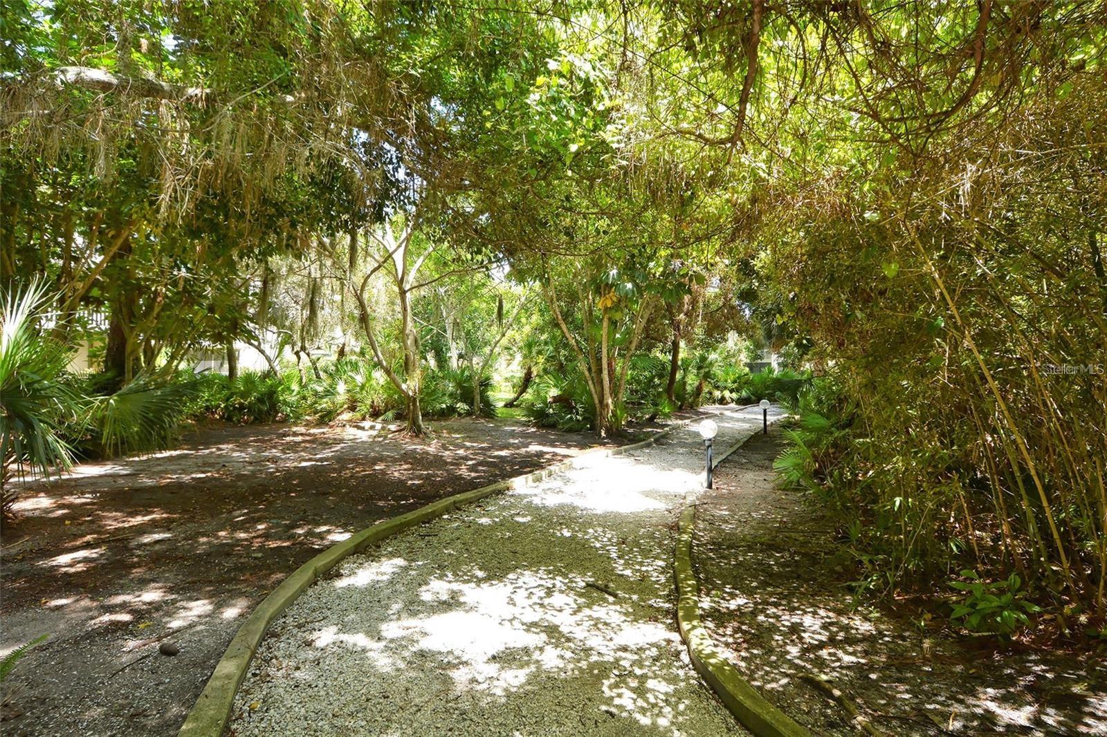 135 WOODLAND PL, OSPREY, FL, 34229