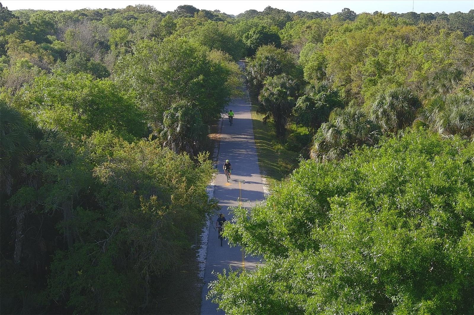 135 WOODLAND PL, OSPREY, FL, 34229