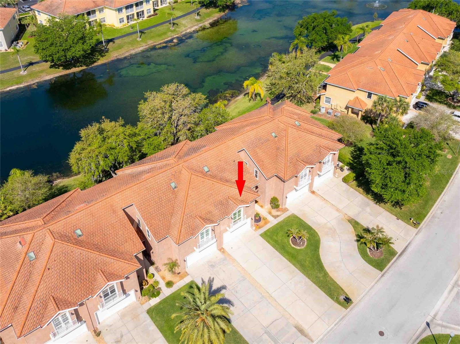 6741 VISTA DEL LAGO AVE, LAND O LAKES, FL, 34637