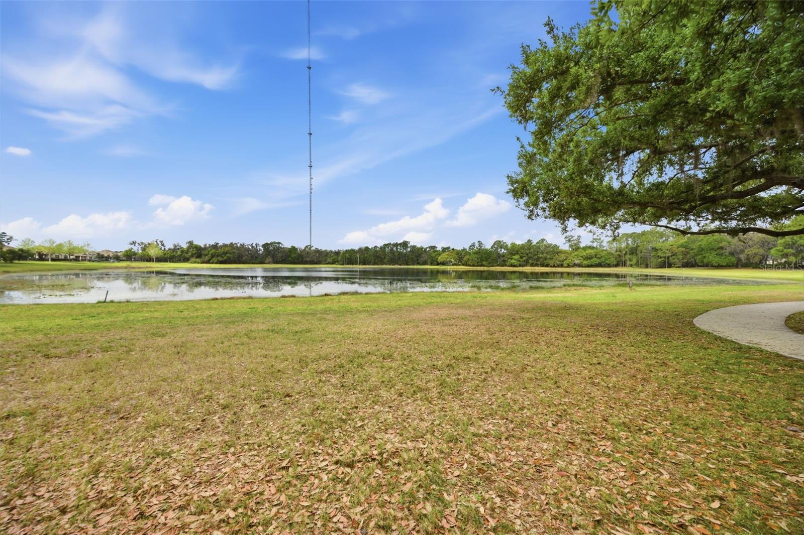 5734 SPOTTED HARRIER WAY, LITHIA, FL, 33547