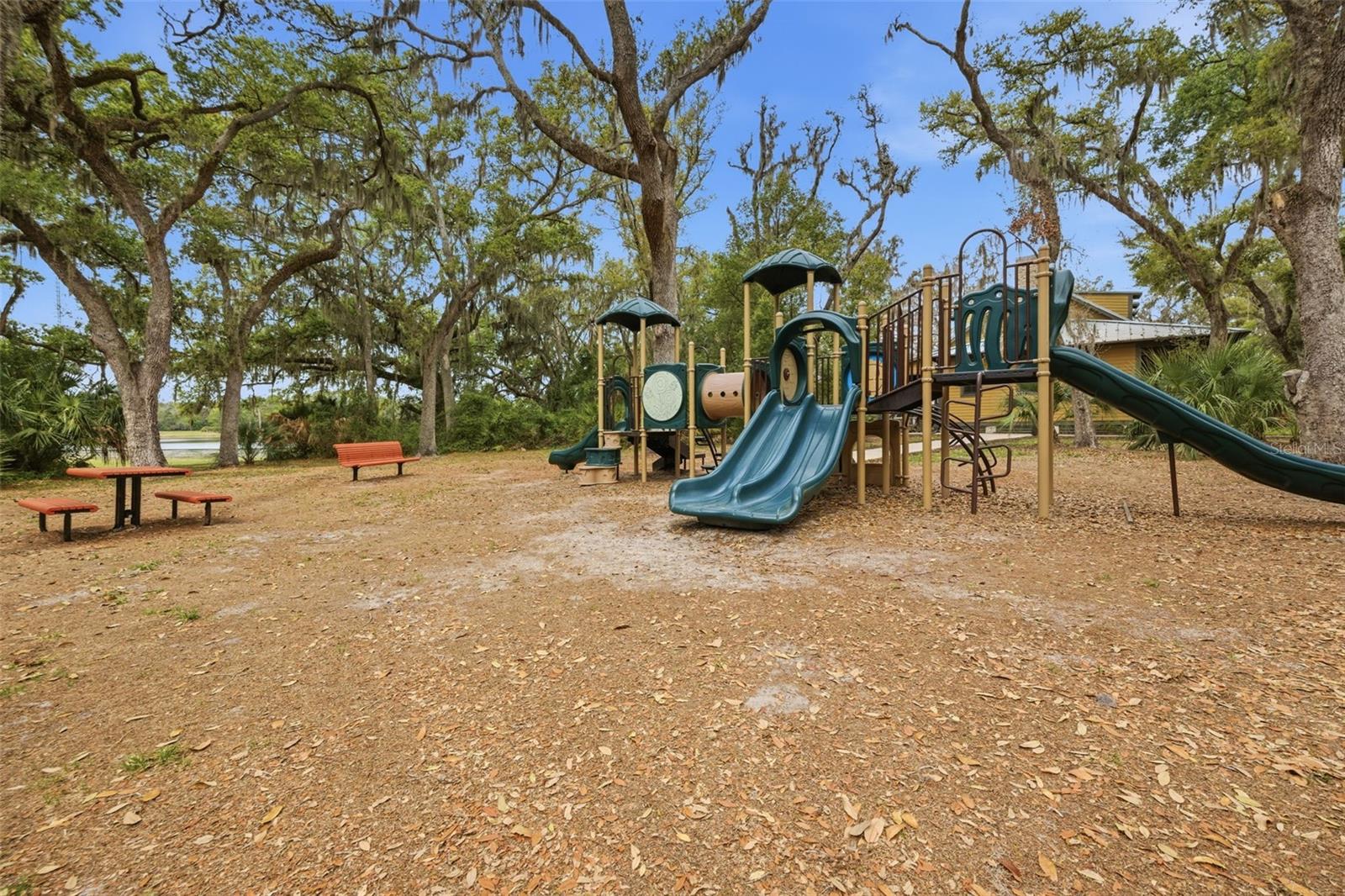 5734 SPOTTED HARRIER WAY, LITHIA, FL, 33547