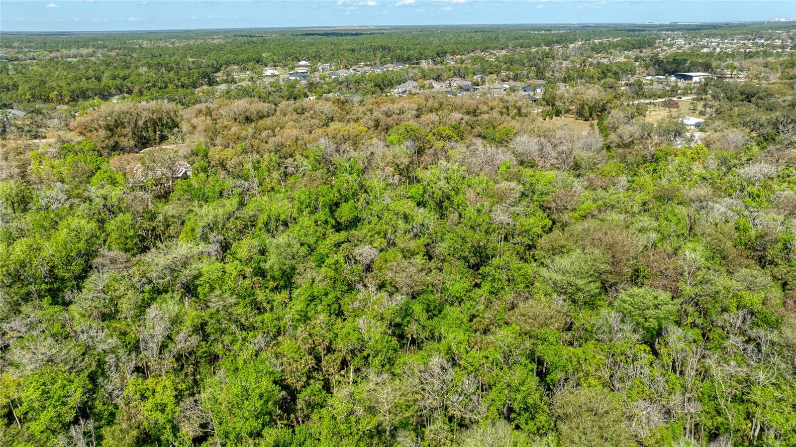 1801 ADRIAN CREEK BLVD, PORT ORANGE, FL, 32128