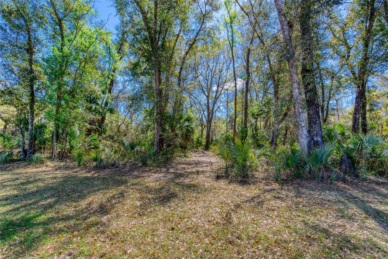 1801 ADRIAN CREEK BLVD, PORT ORANGE, FL, 32128