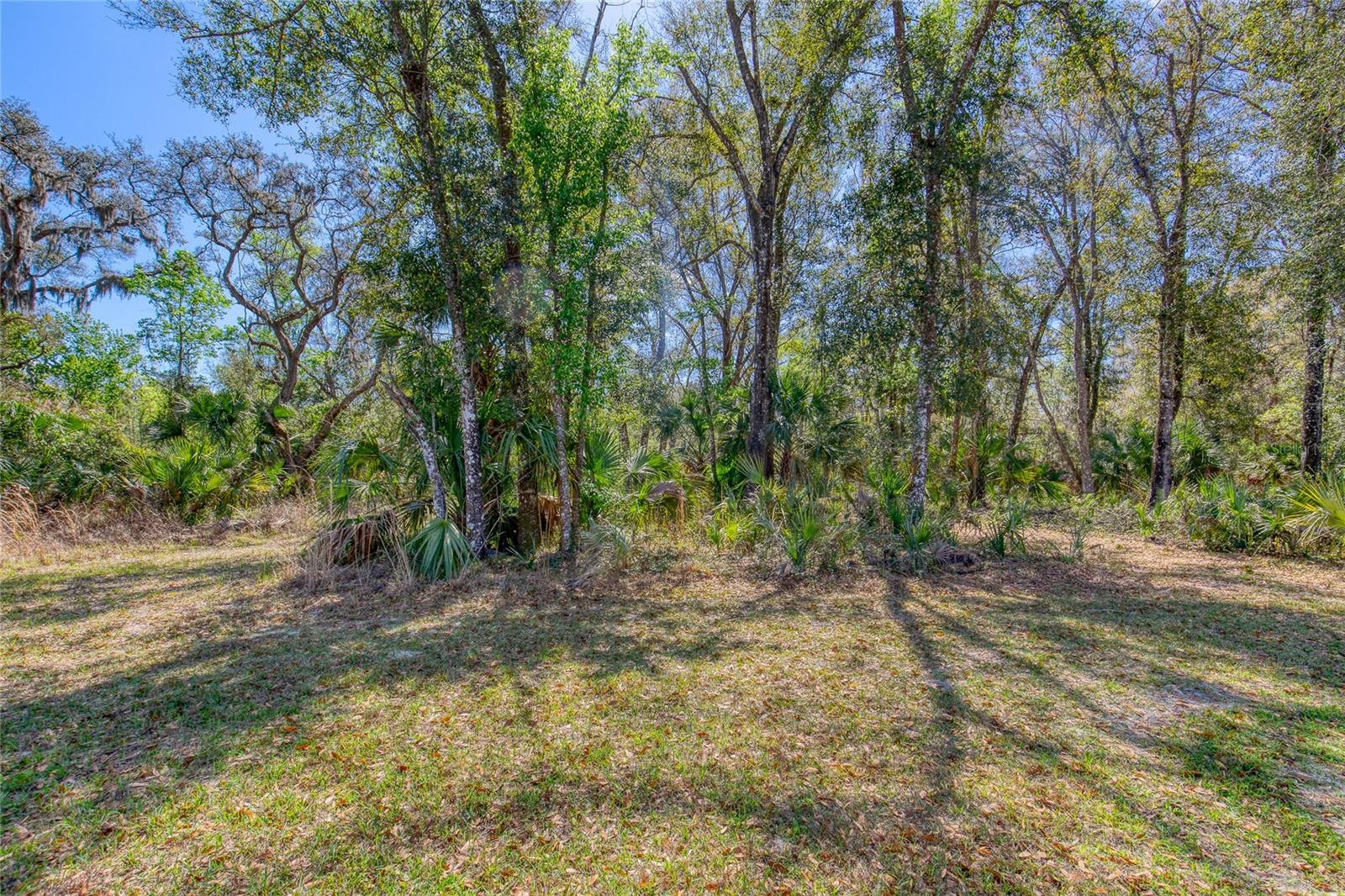 1801 ADRIAN CREEK BLVD, PORT ORANGE, FL, 32128
