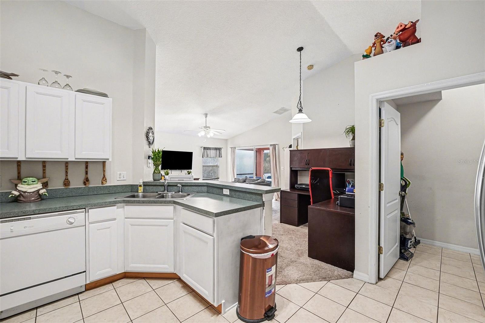 501 SCRUB JAY WAY, DAVENPORT, FL, 33896
