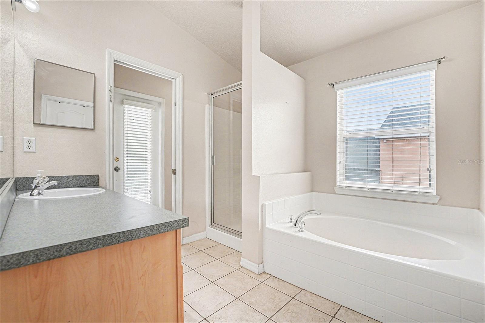 501 SCRUB JAY WAY, DAVENPORT, FL, 33896