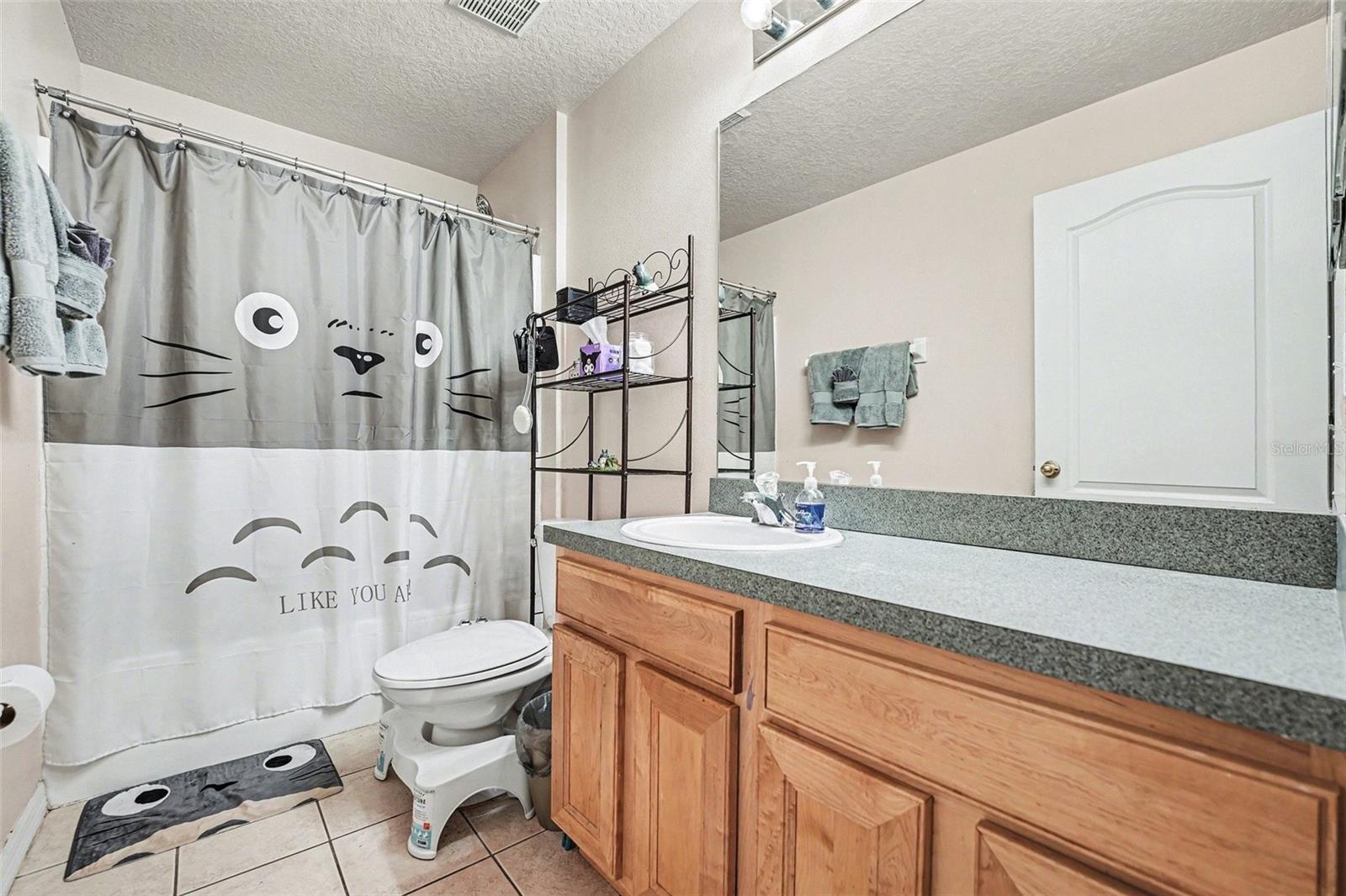 501 SCRUB JAY WAY, DAVENPORT, FL, 33896