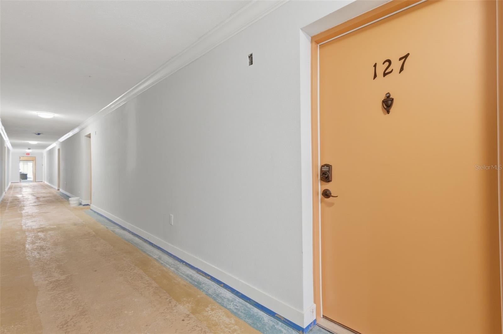 Hallway, which is currently being painted