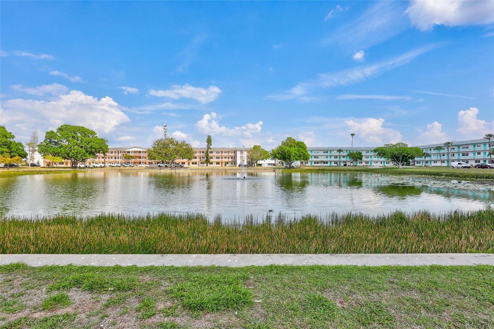 5940 21ST ST N #11, ST PETERSBURG, FL, 33714