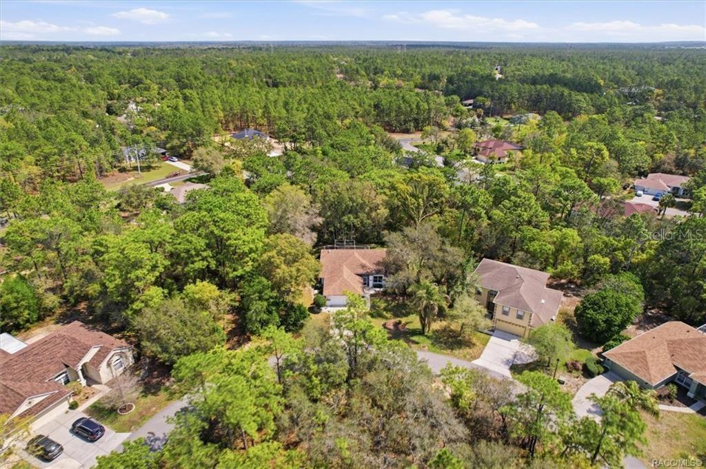 13 BONNIE CT N, HOMOSASSA, FL, 34446