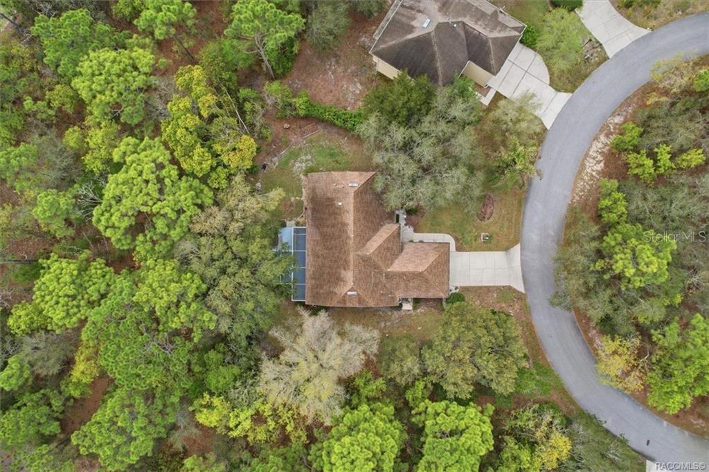 13 BONNIE CT N, HOMOSASSA, FL, 34446
