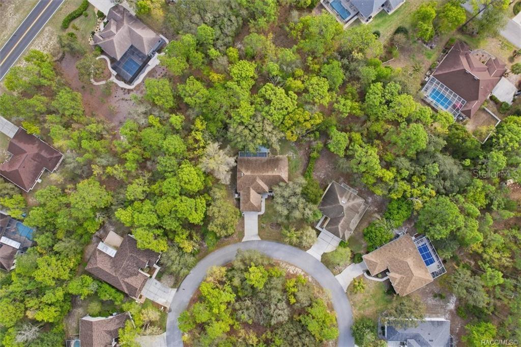 13 BONNIE CT N, HOMOSASSA, FL, 34446