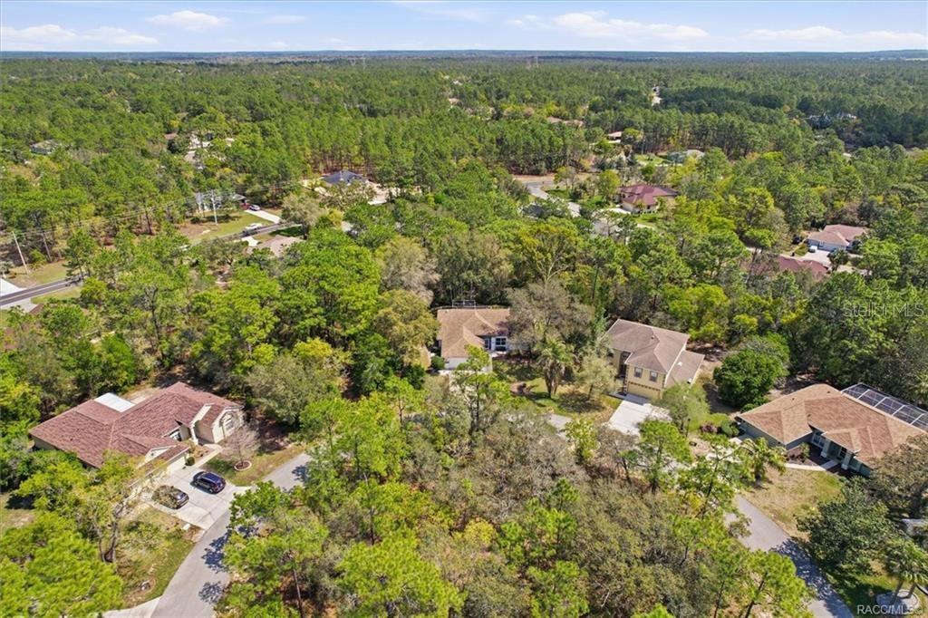 13 BONNIE CT N, HOMOSASSA, FL, 34446