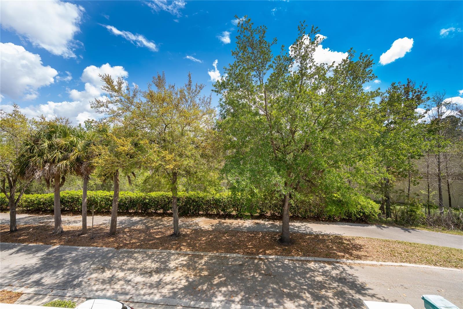 10888 ECLIPSE LILY WAY #62A, ORLANDO, FL, 32832