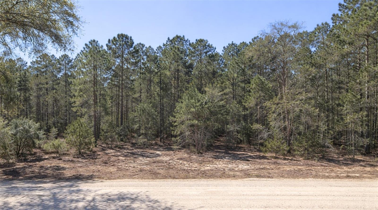 0000 SE 130TH CT, DUNNELLON, FL, 34431