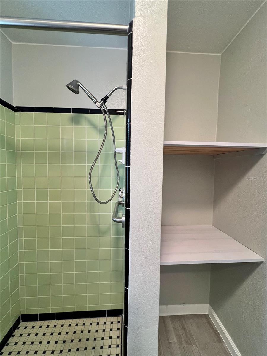 107 W MINNEHAHA ST, TAMPA, FL, 33604