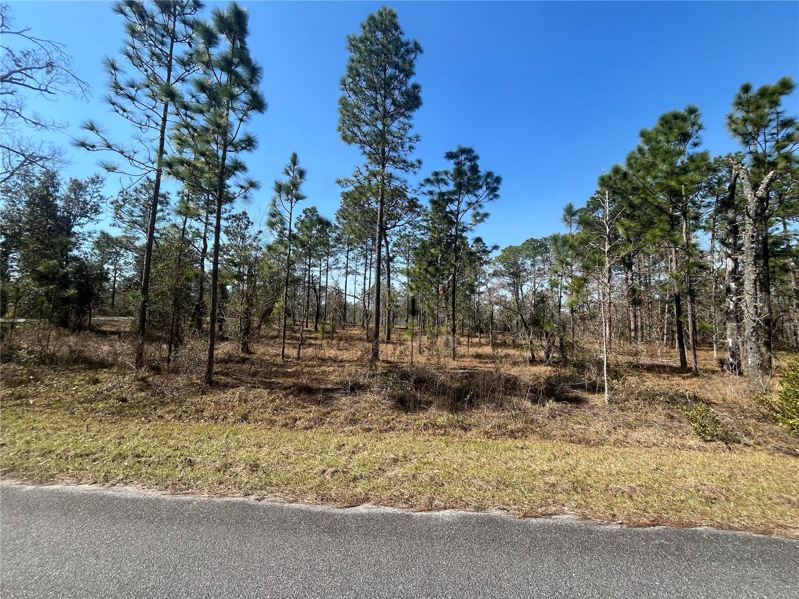WATER OAK AVE, DUNNELLON, FL, 34431