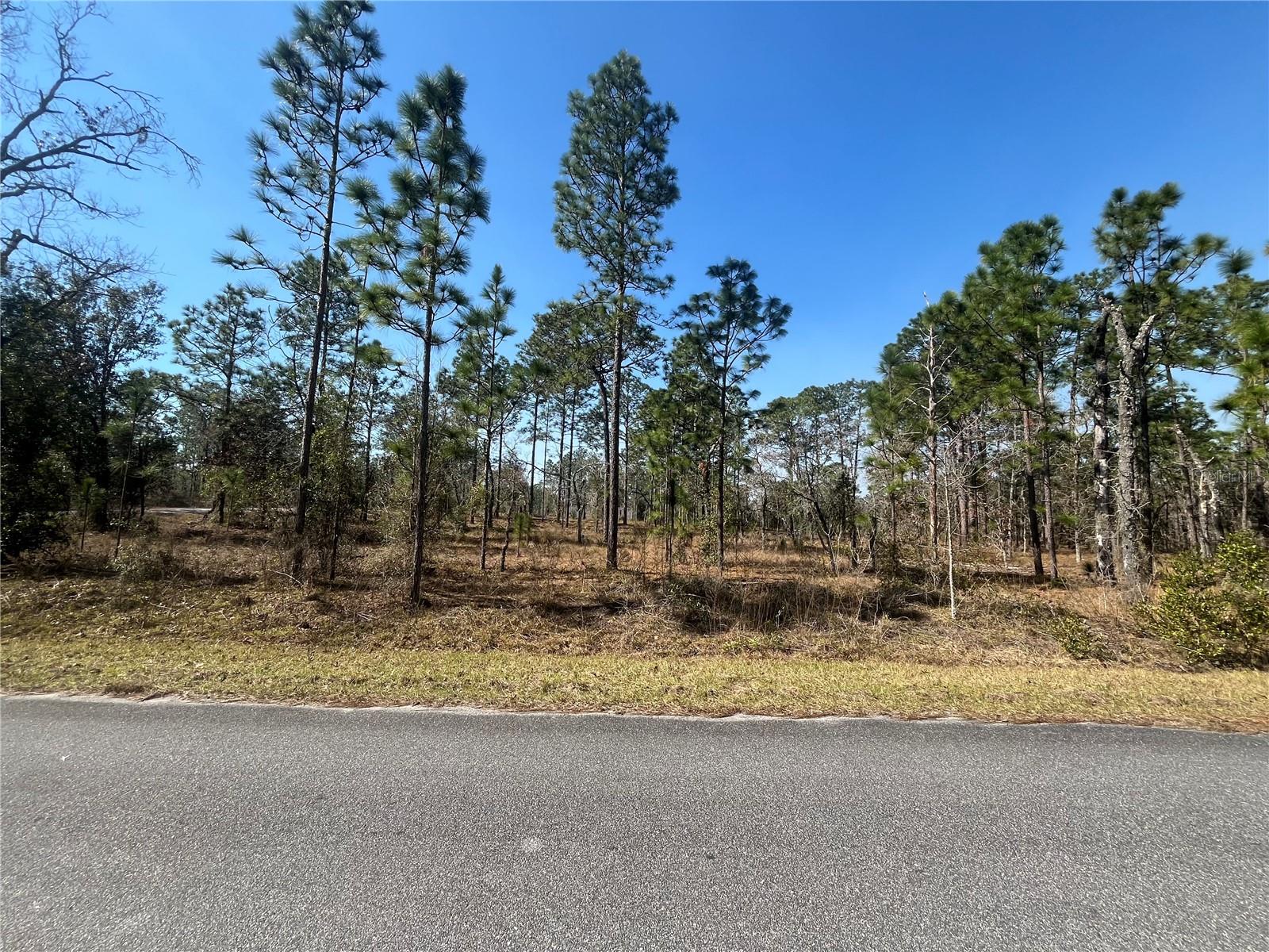 WATER OAK AVE, DUNNELLON, FL, 34431