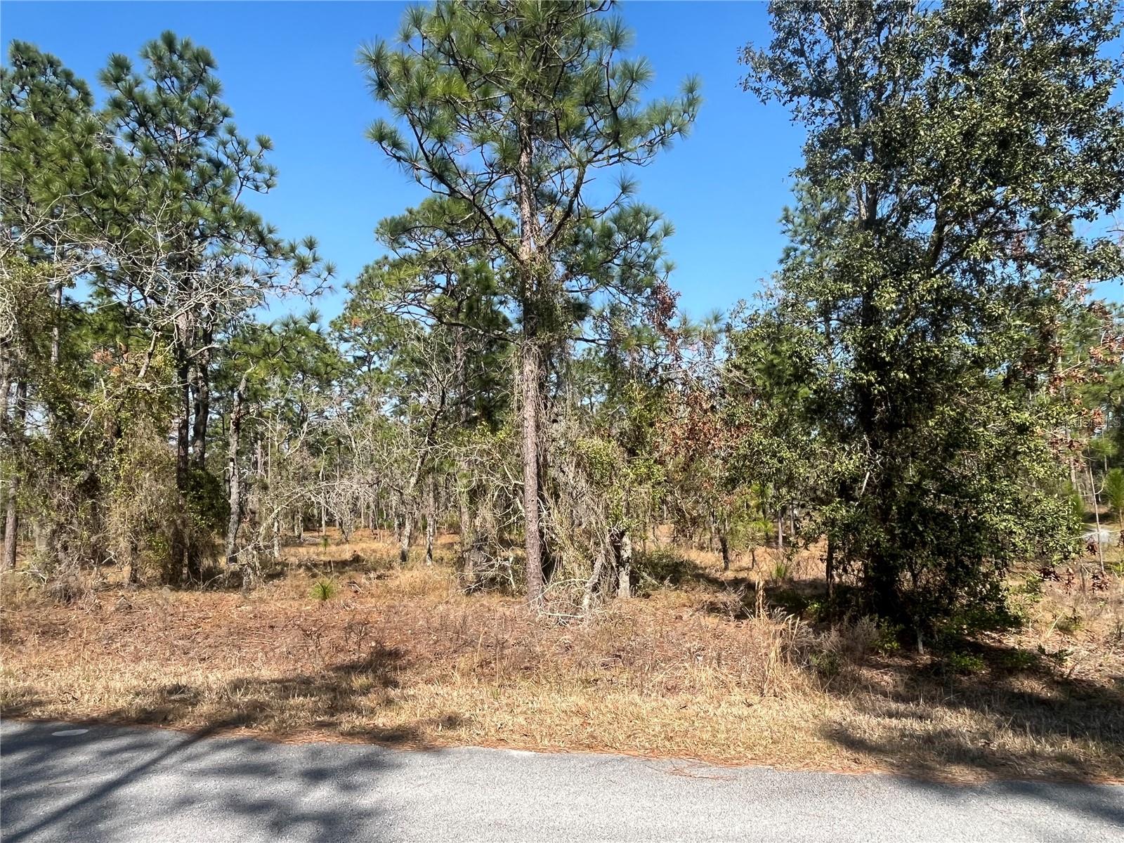 WATER OAK AVE, DUNNELLON, FL, 34431