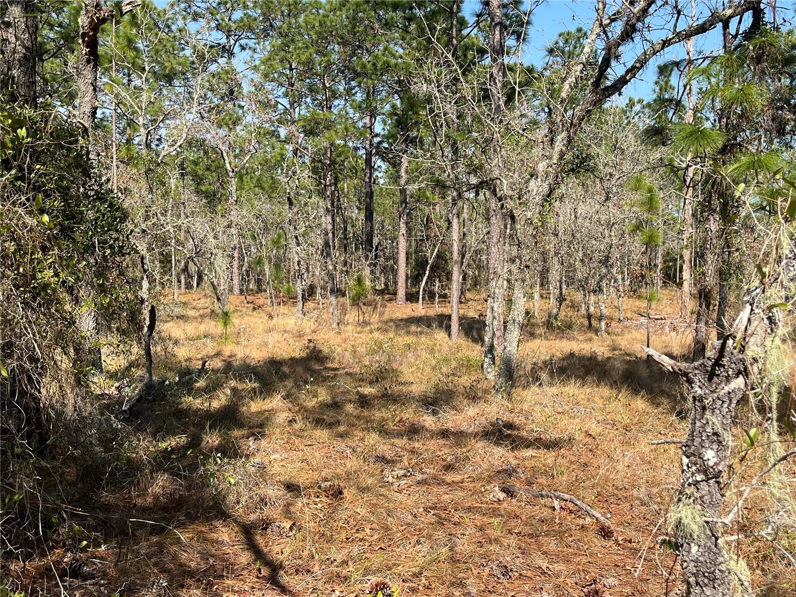 WATER OAK AVE, DUNNELLON, FL, 34431