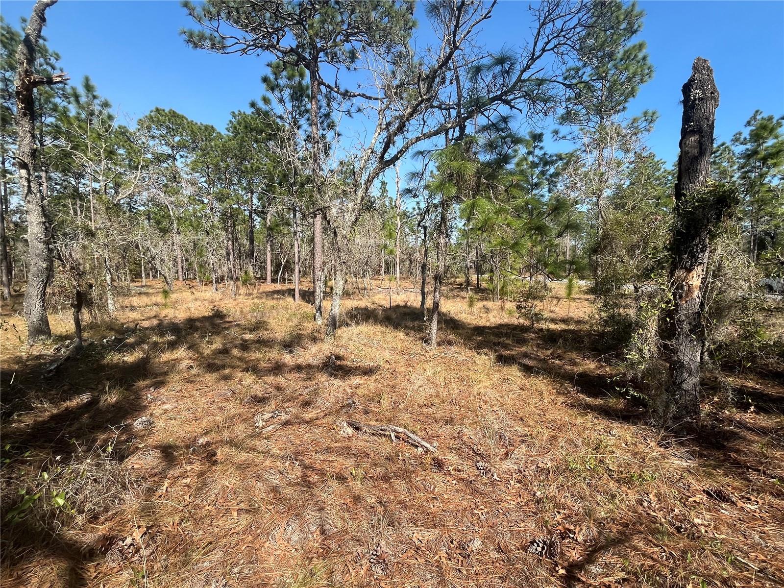 WATER OAK AVE, DUNNELLON, FL, 34431