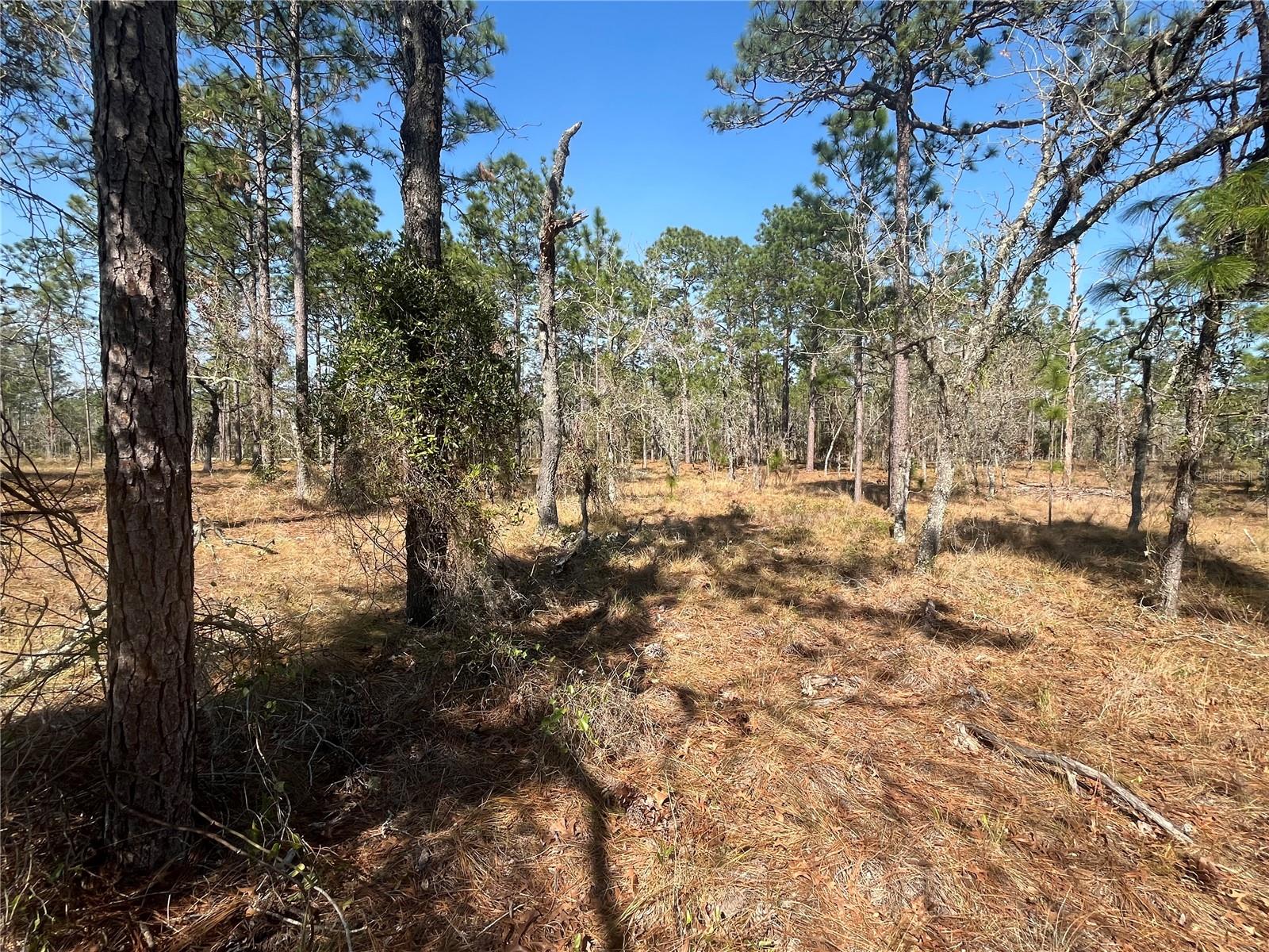 WATER OAK AVE, DUNNELLON, FL, 34431