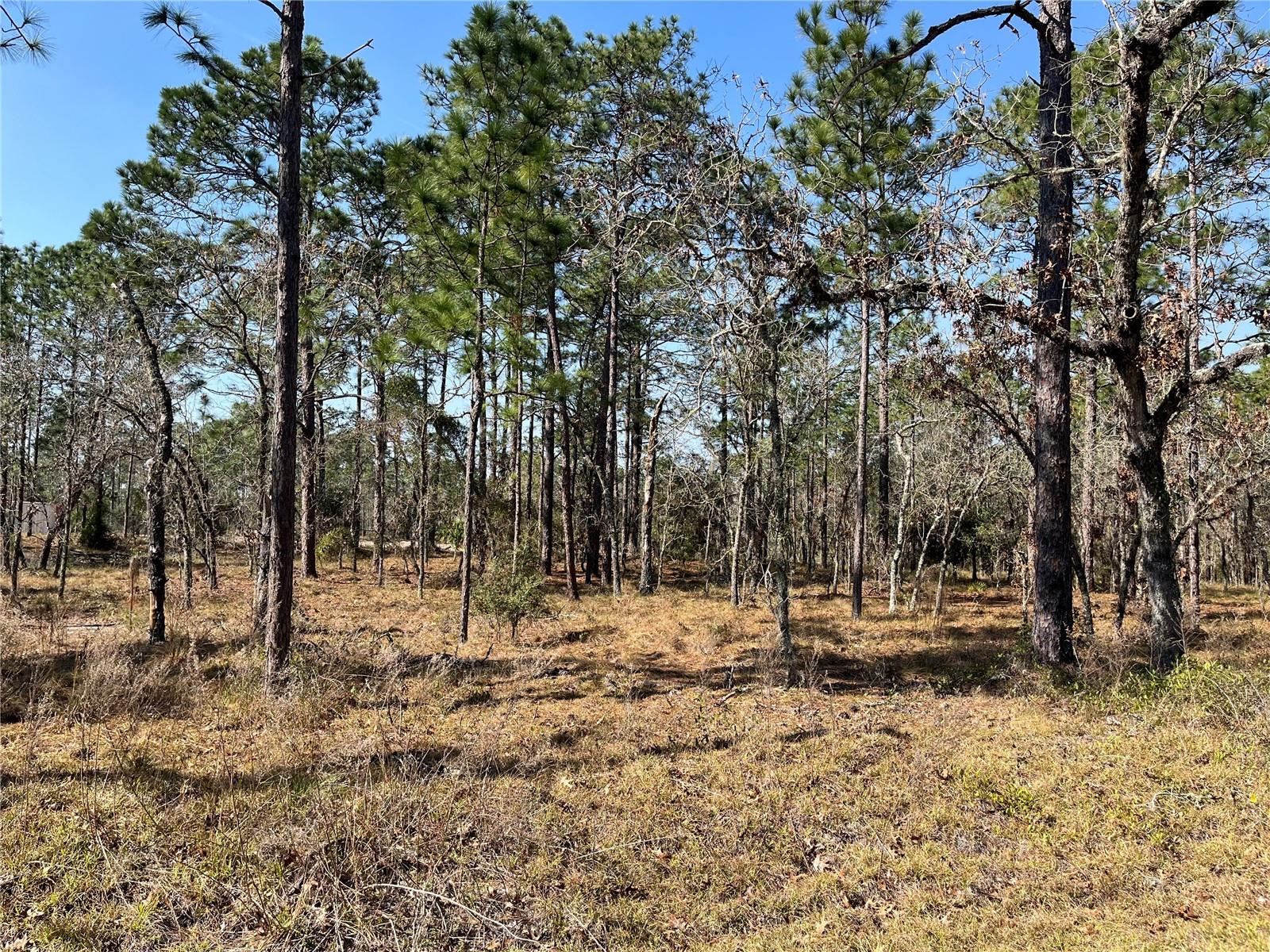WATER OAK AVE, DUNNELLON, FL, 34431