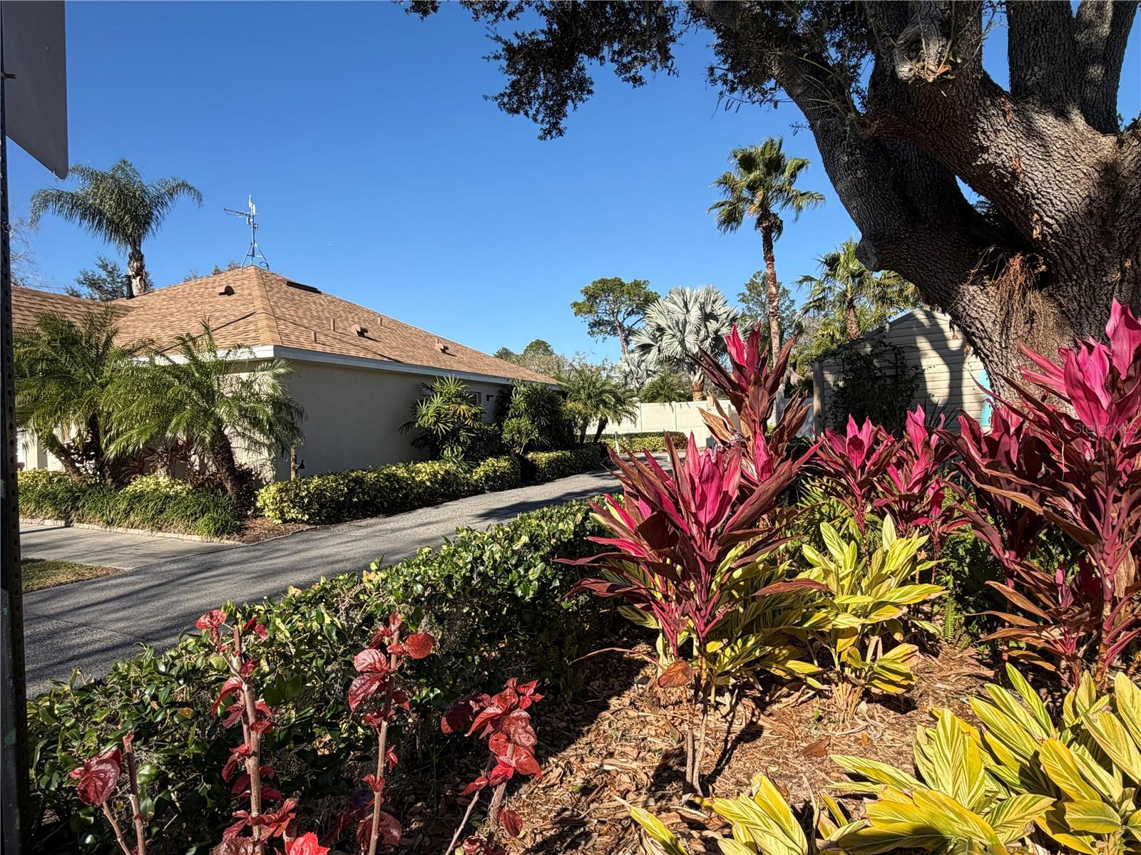 20300 LEONARD RD #78, LUTZ, FL, 33558