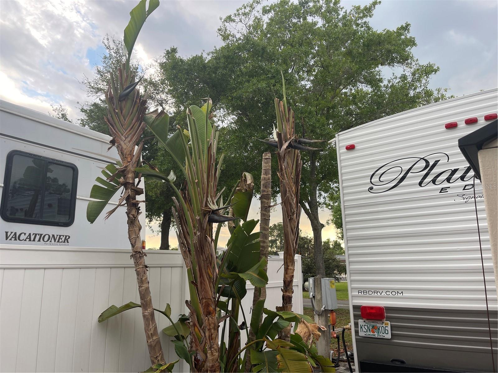 20300 LEONARD RD #78, LUTZ, FL, 33558