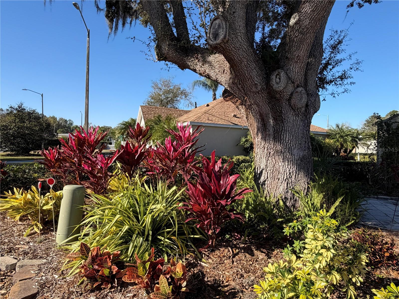 20300 LEONARD RD #78, LUTZ, FL, 33558