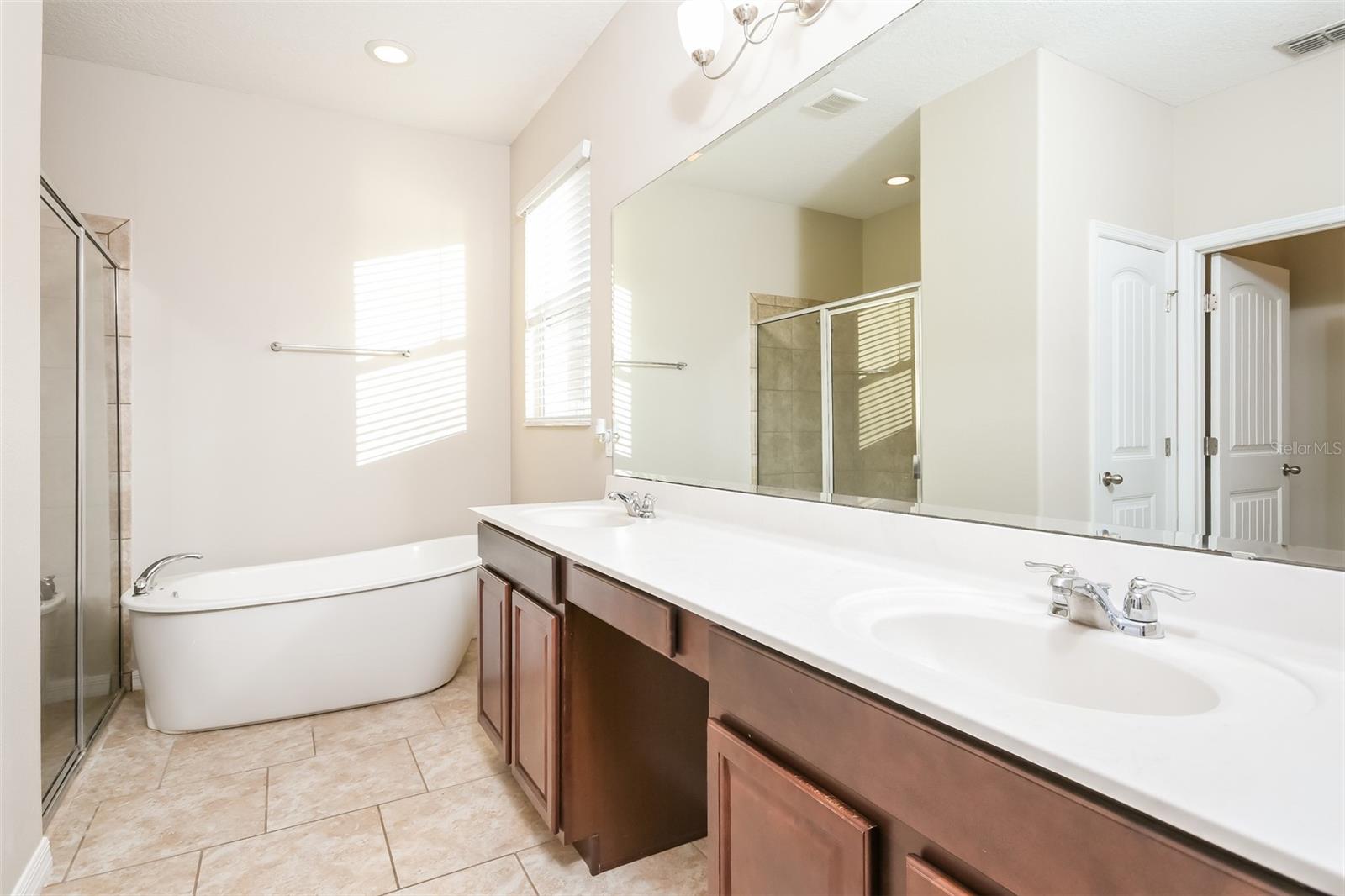 3223 OLIVIA BREEZE DR, KISSIMMEE, FL, 34746
