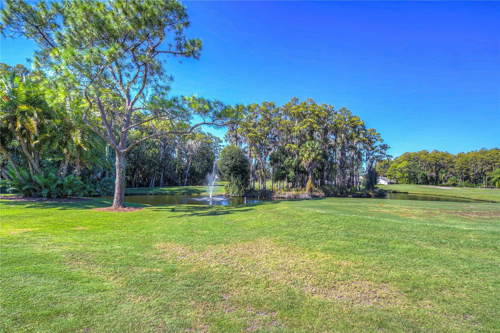 3439 TEESIDE DR #0, NEW PORT RICHEY, FL, 34655