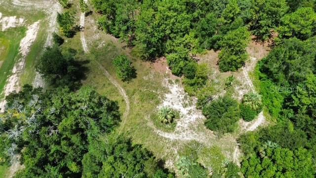 4026 N ORANGE BLOSSOM TRL, MOUNT DORA, FL, 32757