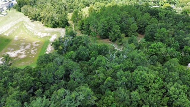 4026 N ORANGE BLOSSOM TRL, MOUNT DORA, FL, 32757